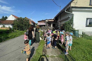Obrázek č.68